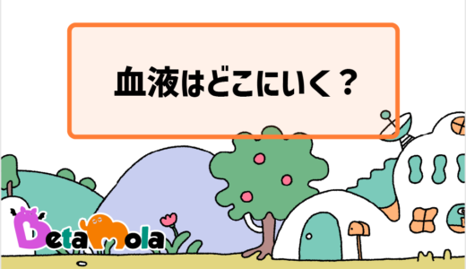 【生物】医学の革命ー血液循環が解明されるまでの経緯を解説